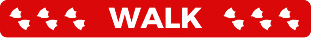 chucklings walk red graphic